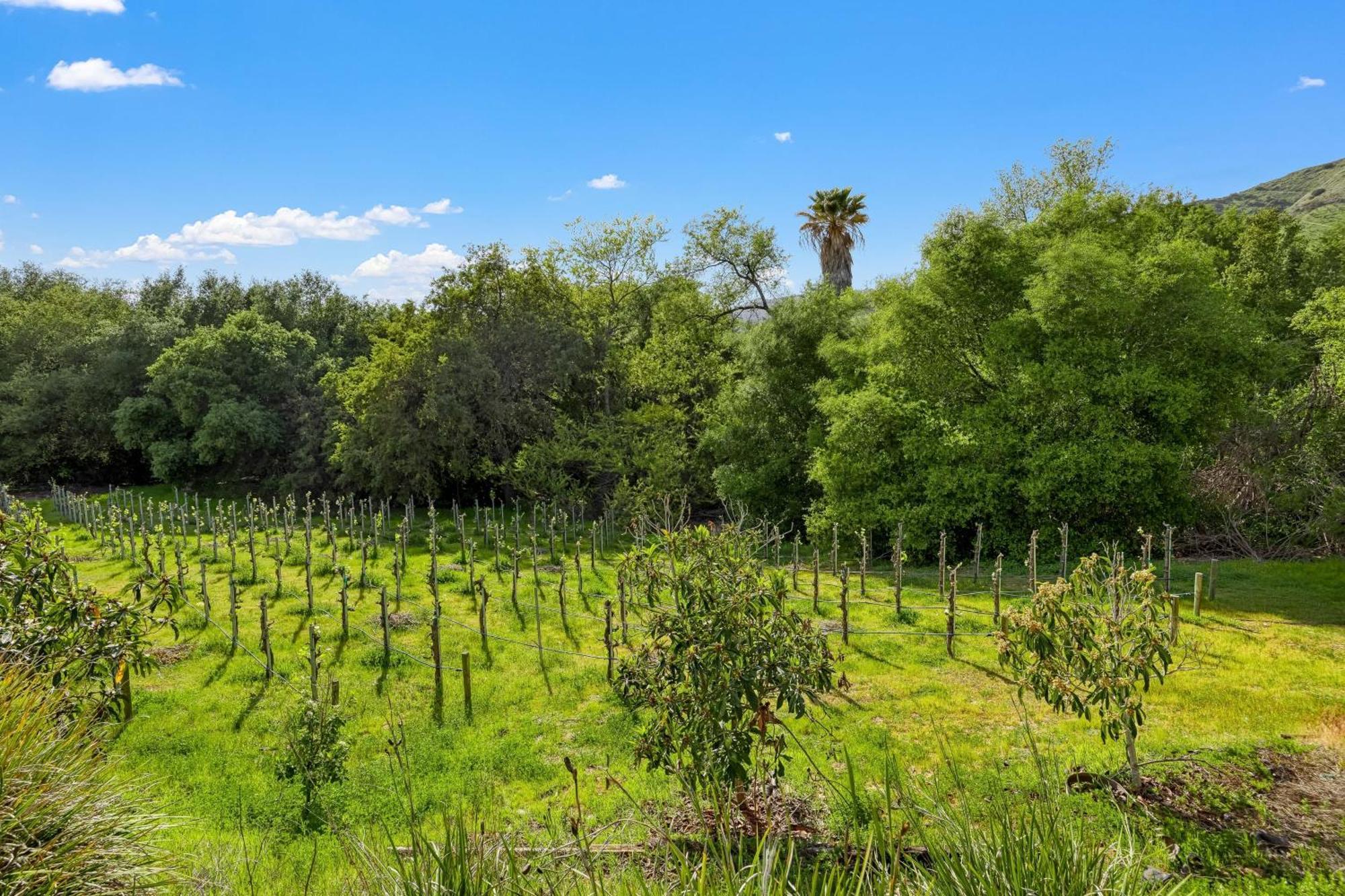 Grapevine By Avantstay Secluded 5Br Villa 4 Acres Of Vineyards Avo Groves تيميكولا، ريفيرسيدي، كاليفورنيا المظهر الخارجي الصورة